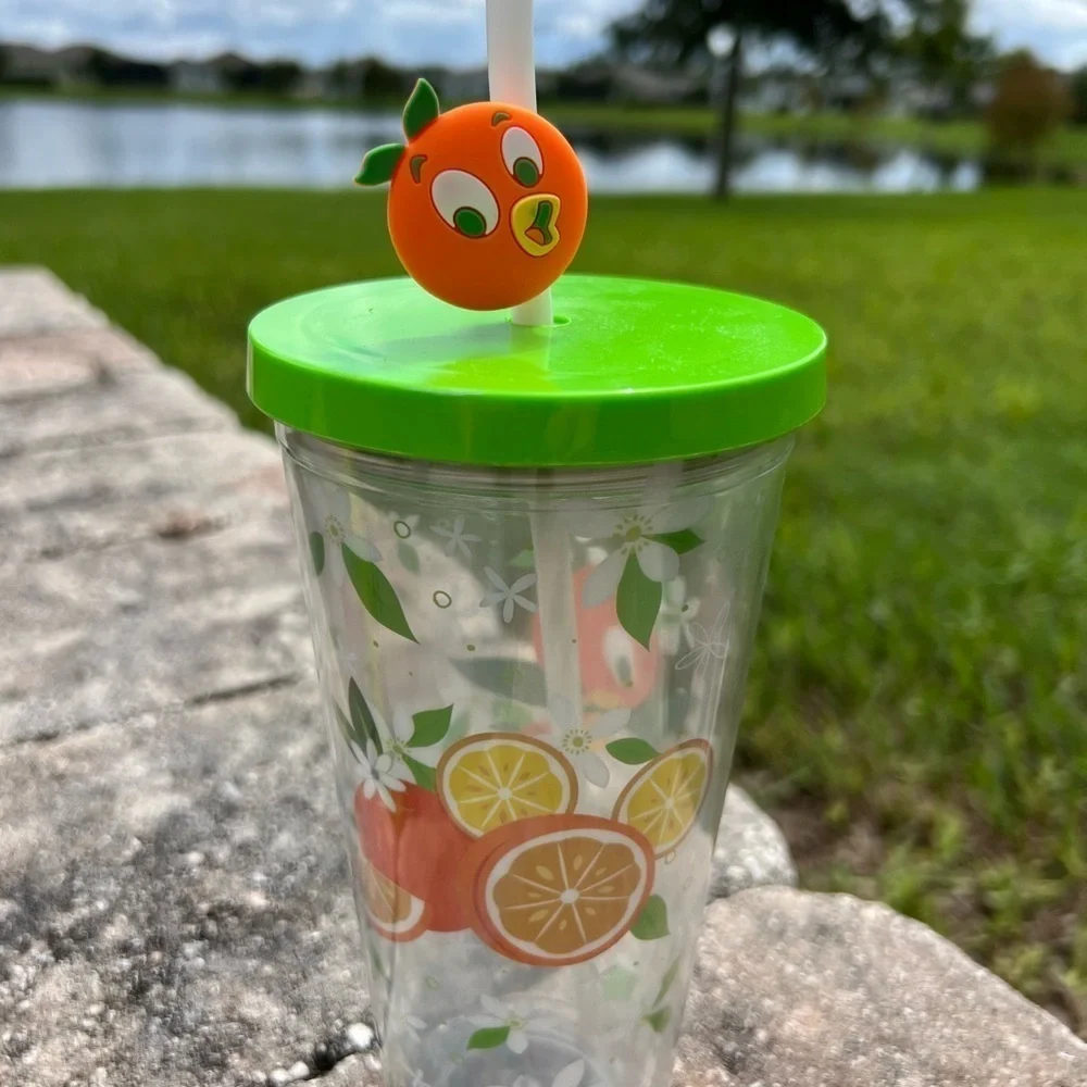 Disney Orange Bird Hello Sunshine Tumbler